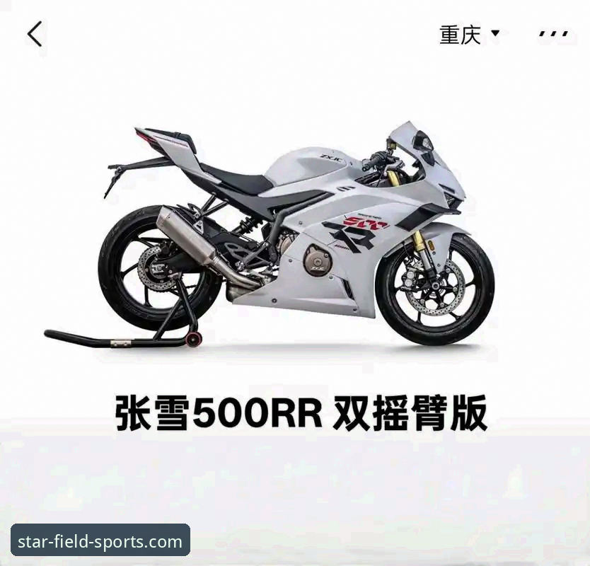 资深用户深度复盘：张雪机车匈牙利站绝杀夺冠的实战经验分享